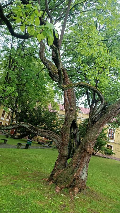U Agaty Czernichow Krakow Zator